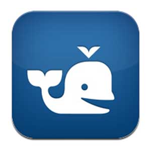 Beluga Beluga